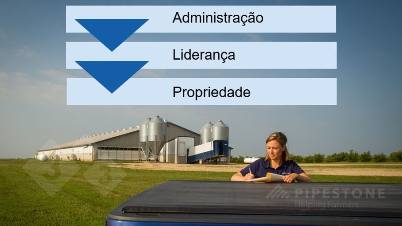 Figura 1. Ordem das etapas em um plano de sucess&atilde;o.
